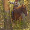 Wilderness Message by Doug Hall 017 48x36 Final