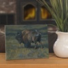 Buffalo by Doug Hall - 067 Tile
